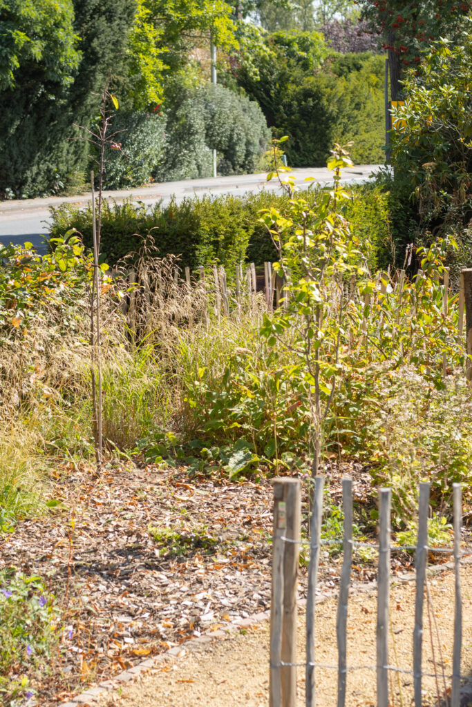 afbeelding tuin b&m 3